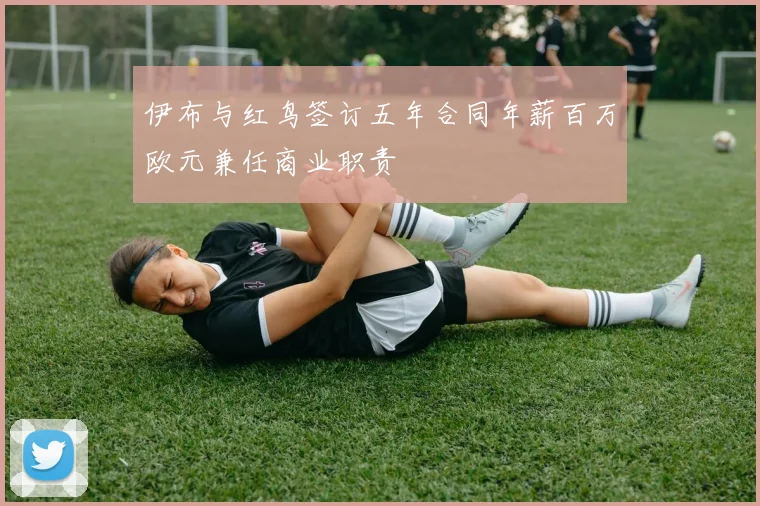 伊布与红鸟签订五年合同年薪百万欧元兼任商业职责