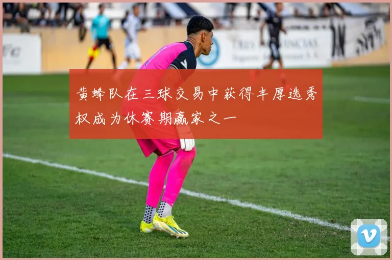 黄蜂队在三球交易中获得丰厚选秀权成为休赛期赢家之一